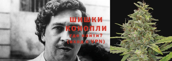 трава Алексин