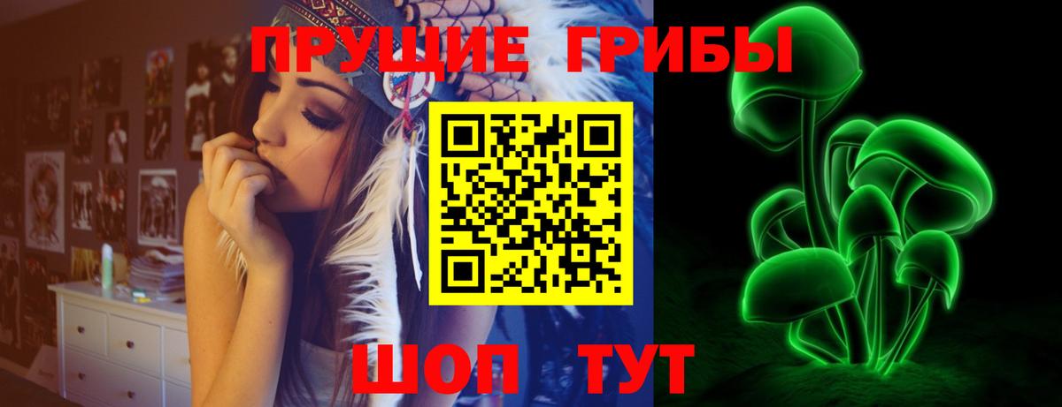 Невинномысск  что такое наркотик  Вход с VPN  Псилоцибиновые грибы мухоморы 